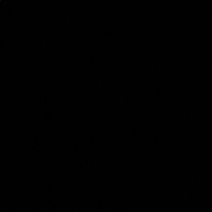 Meet your Posher, Lynn